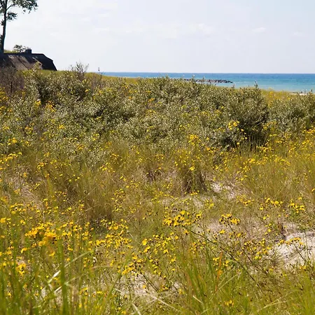 Friederike Διαμέρισμα *